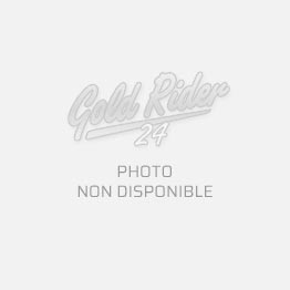 Gold Rider
