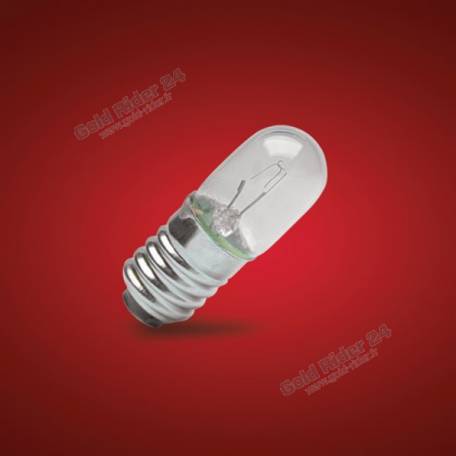 Ampoules (boite de 10)