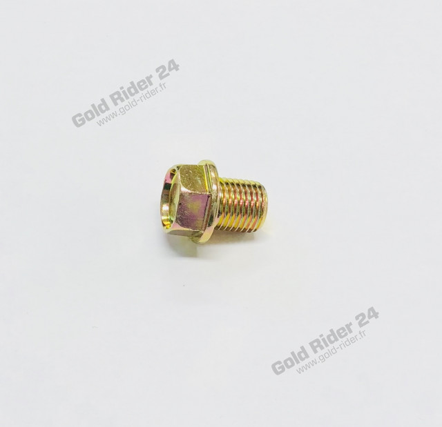 Bouchon de vidange moteur 
