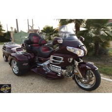 Trike Goldwing GL1800 Hannigan G1
