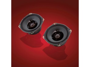 Haut-parleurs 30W 130mm