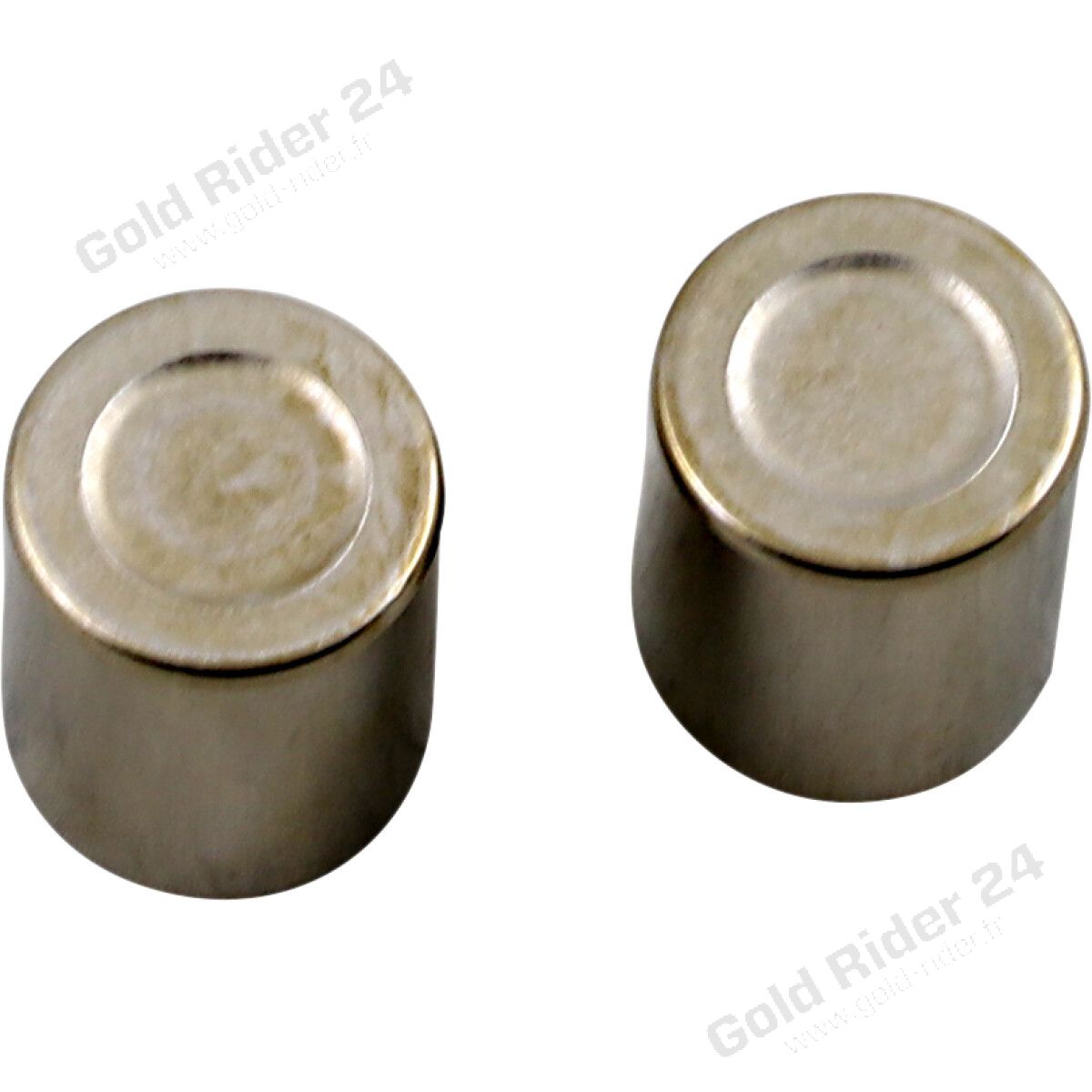 Kit de pistons étriers avant gauche - GL1500