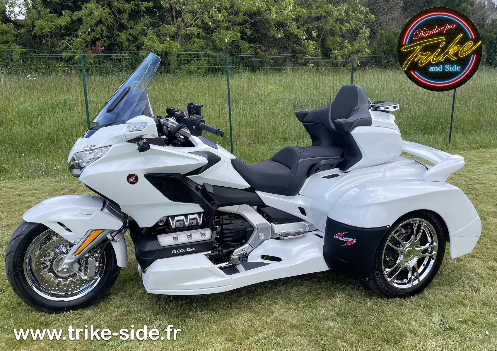Trike Goldwing GL1800 Hannigan G3