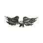Pin's "Aigle en flammes"