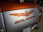 Trike Goldwing GL1800 Hannigan G1