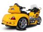 Trike Goldwing Hannigan G1